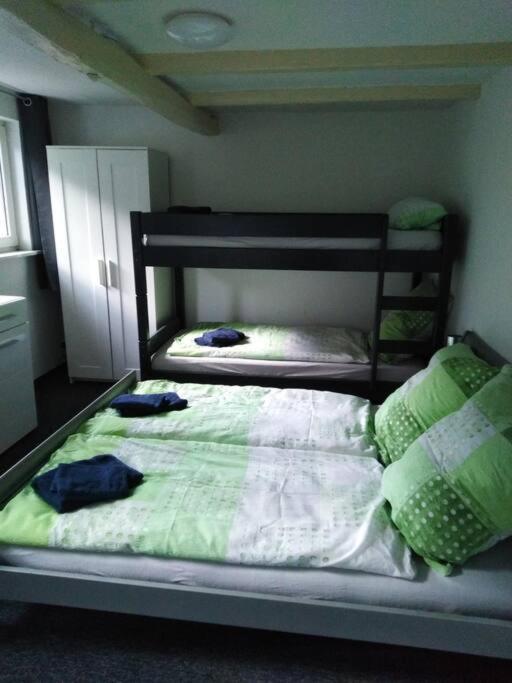 Wohnung Im Gruenen In Olsberg Exteriér fotografie