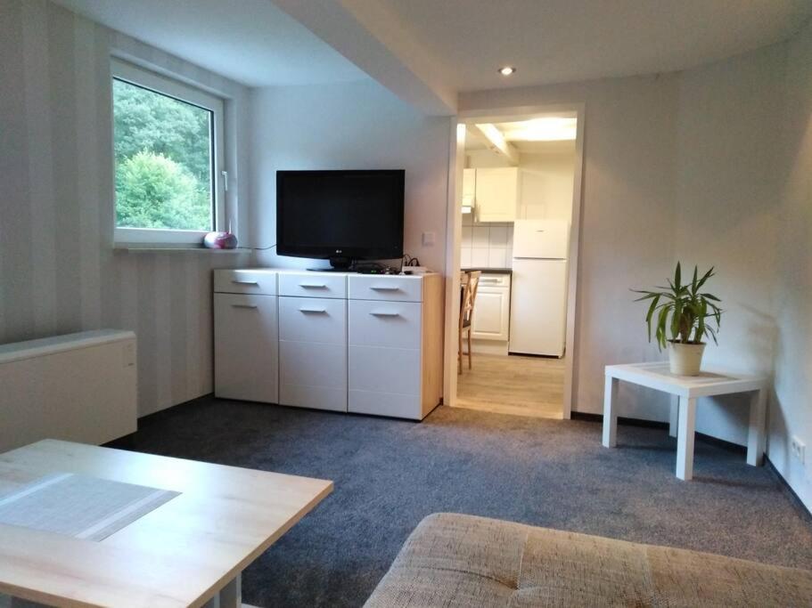Wohnung Im Gruenen In Olsberg Exteriér fotografie